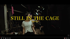 Wiwek & Skrillex maken samen korte muziekfilm 'Still In The Cage'