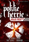 Vrijdag 18 april Pokke Herrie - Art of Fighters World tour