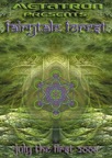 Fairytale Forest – een psychedelisch sprookje in het Zuiden...