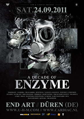 A Decade of Enzyme