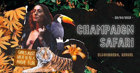 Champaign Safari