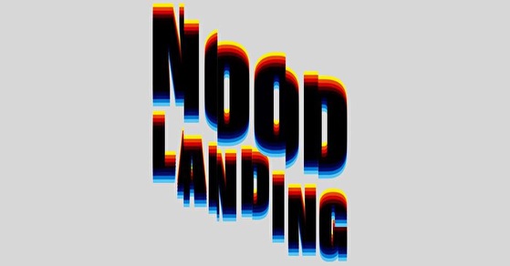 Noodlanding