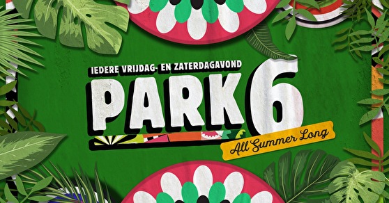 Park 6 By Night