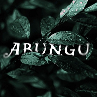 Abungu