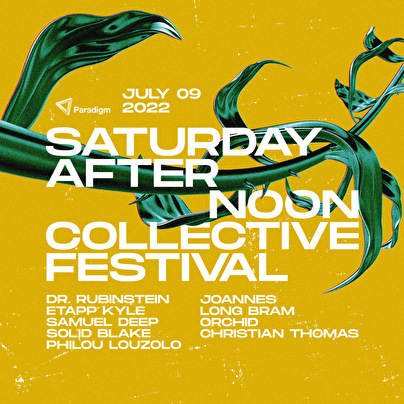Saturday Afternoon Collective Festival