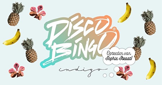 Disco Bingo