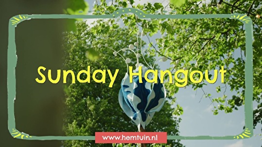 Sunday Hangout