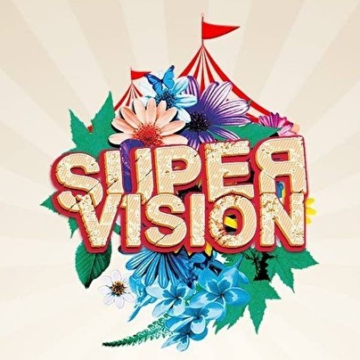 Supervision Festival