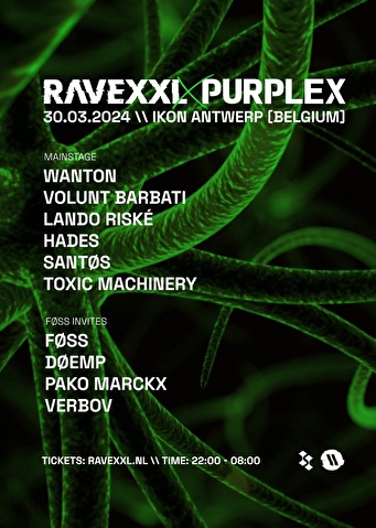 Rave XXL × Purplex