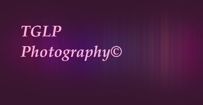 Profielafbeelding · TGLP Photography