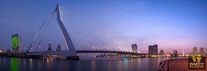Rotterdam krijgt nieuw dancefestival