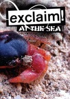 Exclaim! At The Sea