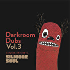Darkroom Dubs Vol. 3 - Mixed by Silicone Soul