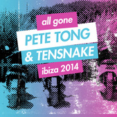All Gone Pete Tong & Tensnake - Ibiza 2014